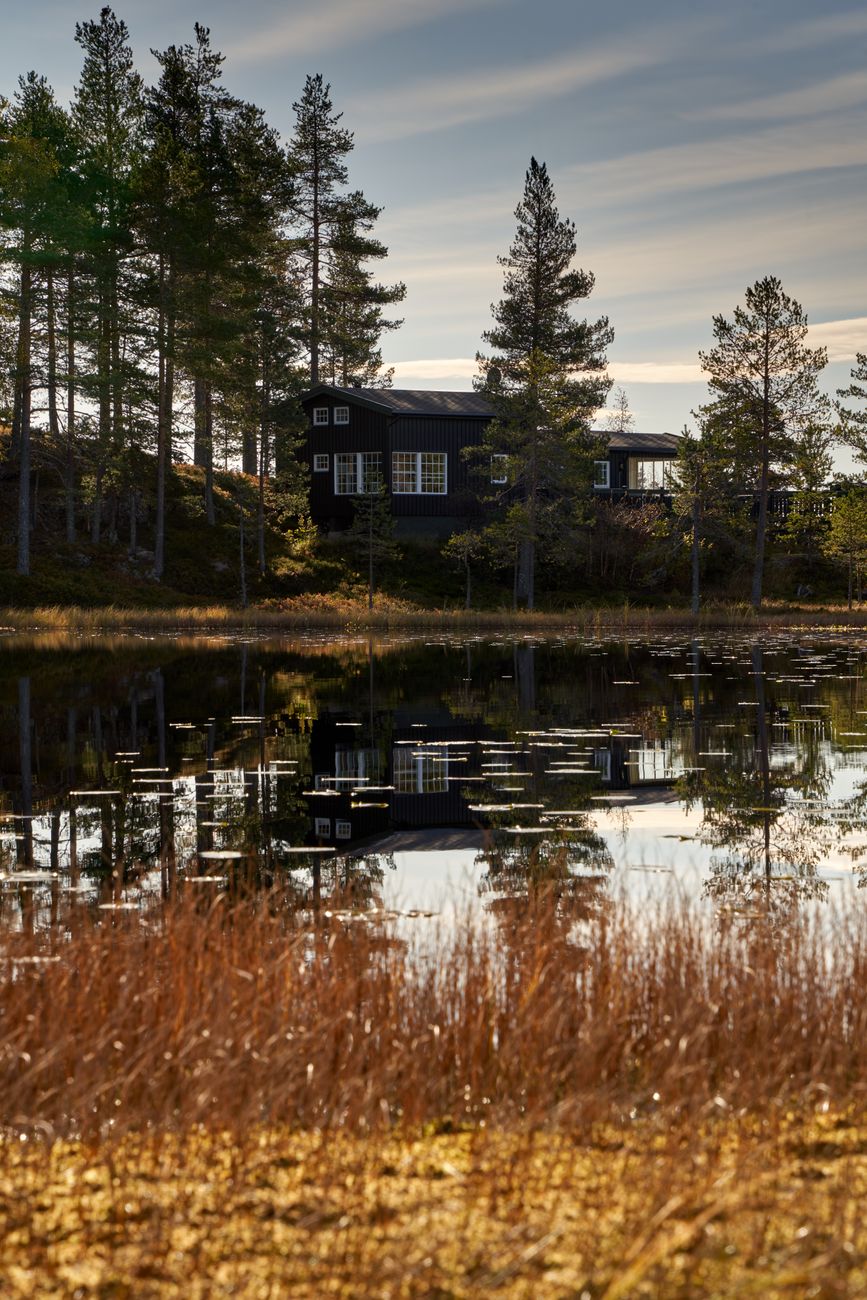 Nordic Cabin In Forest
